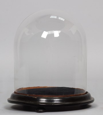 Lot 267 - Glass Dome: A Period Glass Dome, of squat...