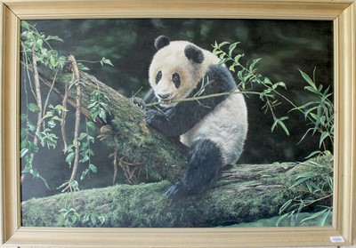 Lot 1088 - Steve Burgess (b. 1960) Panda eating bamboo on...