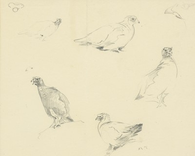 Lot 500 - Archibald Thorburn FZS (1860-1935) Studies of...