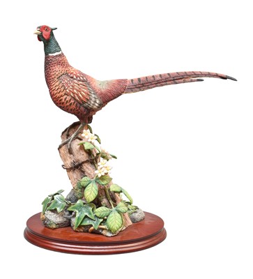 Lot 2185 - Border Fine Arts 'Summer Splendour' (Pheasant),...