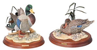 Lot 2183 - Border Fine Arts 'Leonardo' (Mallard Duck),...