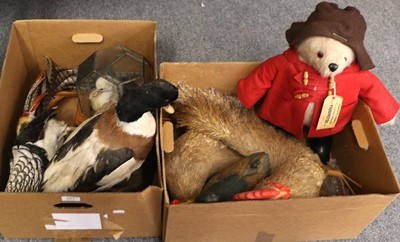 Lot 341 - Three Pieces of Taxidermy, a painted wooden...