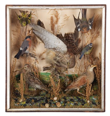 Lot 168 - Taxidermy: A Late Victorian Case of British...