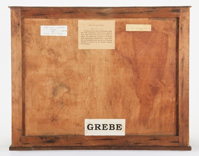 Lot 170 - Taxidermy: A Pair of Cased Great Crested...