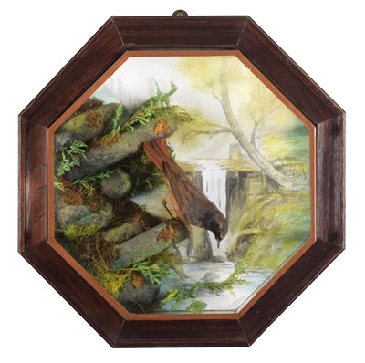 Lot 201 - Taxidermy: A Wall Cased Common Redstart...