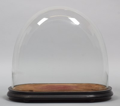 Lot 72 - Glass Dome: A Period Glass Dome, of oval form,...