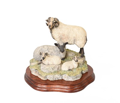 Lot 2156 - Border Fine Arts 'Shetland Sheep Family Group'...