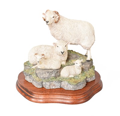 Lot 2158 - Border Fine Arts 'Shetland Sheep Family Group'...