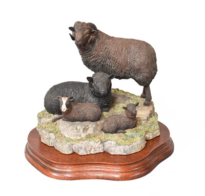 Lot 2157 - Border Fine Arts 'Shetland Sheep Family Group'...