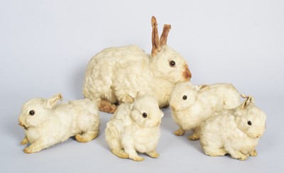 Lot 57 - Taxidermy: A Victorian Family Group of White...