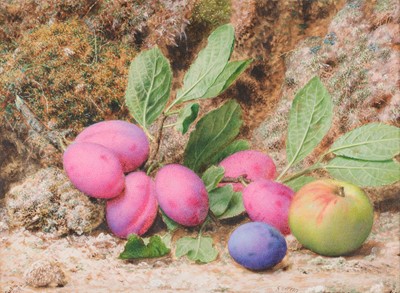 Lot 1016 - John Sherrin (1819-1896) Still life study of...