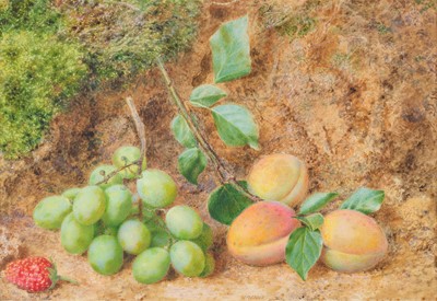 Lot 1017 - John Sherrin (1819-1896) Still life study of...