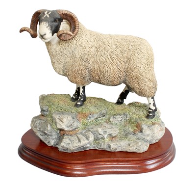 Lot 2124 - Border Fine Arts 'Blackie Tup', model No....