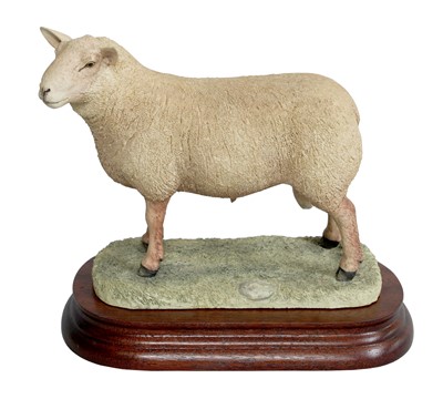 Lot 2134 - Border Fine Arts 'Charolais Ram', model No....