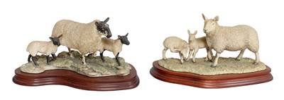 Lot 2147 - Border Fine Arts 'North Country Cheviot Ewe...