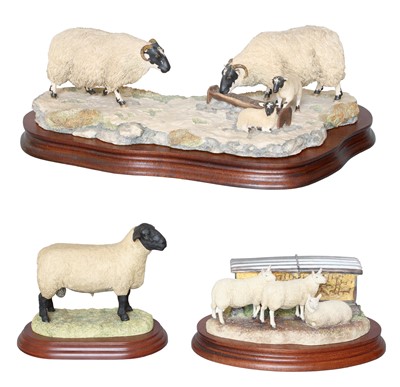 Lot 2154 - Border Fine Arts Sheep Models Comprising:...