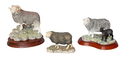 Lot 2137 - Border Fine Arts 'Herdwick Tup', model No....