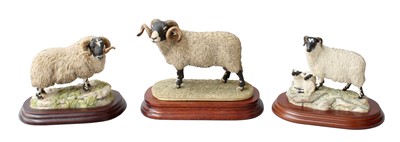 Lot 2155 - Border Fine Arts Sheep Models...