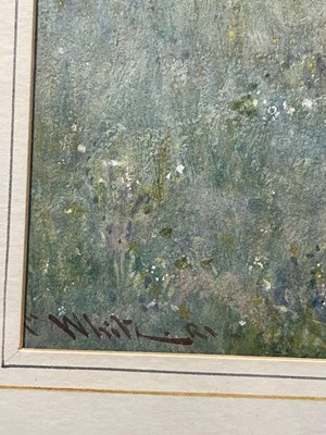 Lot 1046 - John White R.I, R.O.I (1851-1933) "Blossoms at...