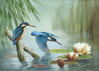 Lot 510 - Raymond C Watson (1935-1994) Kingfishers and...