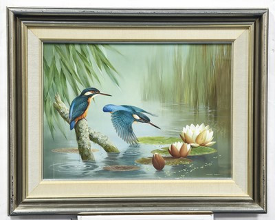 Lot 510 - Raymond C Watson (1935-1994) Kingfishers and...