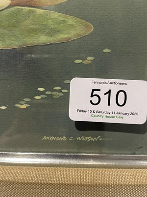 Lot 510 - Raymond C Watson (1935-1994) Kingfishers and...