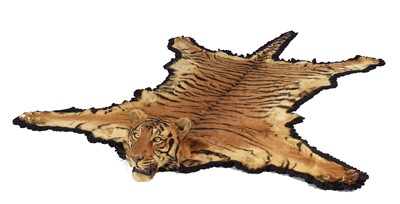 Lot Taxidermy: Bengal Tiger Skin (Panthera tigris...