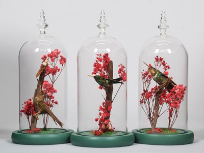 Lot 1349 - Taxidermy: A Group of Three Late Victorian...