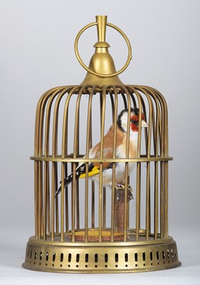 Lot 1331 - Taxidermy: A European Goldfinch (Carduelis...