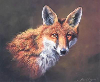 Lot 513 - Adrian C Rigby (b.1962) Study of a fox Signed,...