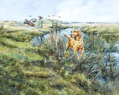 Lot 522 - Henry Wilkinson (1921-2011) Golden Labrador...