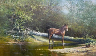 Lot 1091 - Tony Sheath (b.1946) "Solitude" Signed, oil on...