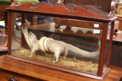 Lot 1322 - Taxidermy: A Late Victorian Cased Indian...