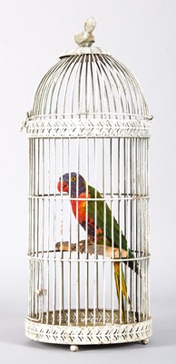 Lot 1339 - Taxidermy: A Caged Late Victorian Rainbow...