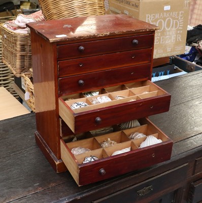 Lot 461 - A 19th Century Collector's Cabinet, in pine...