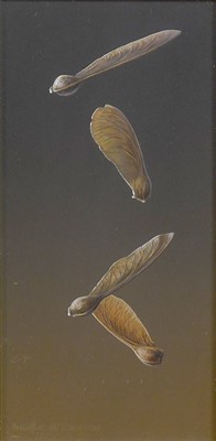 Lot 1226 - Andrew Hutchinson (b.1961) Sycamore seeds...