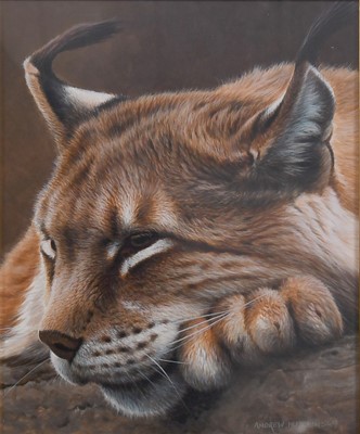 Lot 1220 - Andrew Hutchinson (b.1961) Lynx at rest Signed,...