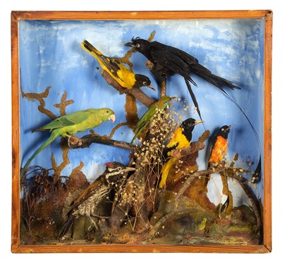 Lot 1114 - Taxidermy: A Late Victorian Cased Display of...