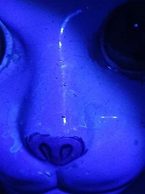 Lot 315 - Émile Gallé (French, 1846-1904): A Polychrome...