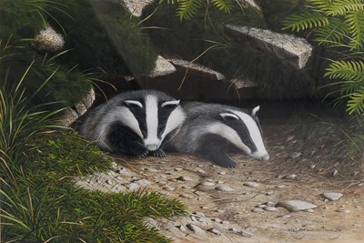 Lot 1219 - Ralph Waterhouse (b.1943) A Pair of Badgers...