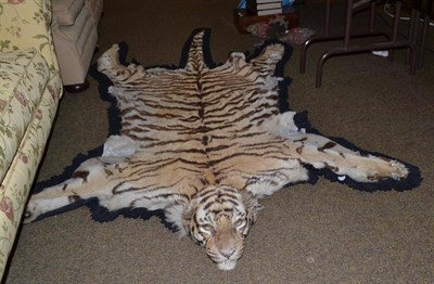 Lot 455 - A tiger skin rug, complete with a game diary dated 1938, outlining the shooting of the tiger...