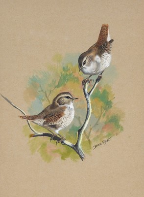 Lot 518 - Basil Ede (b.1931) "Wrens" Signed, watercolour...