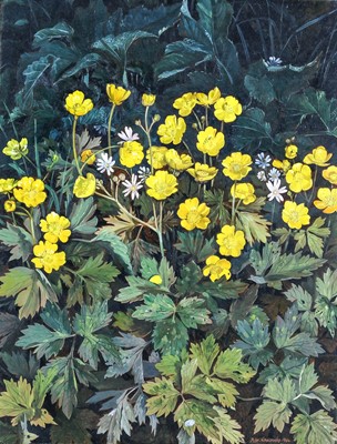 Lot 630 - Peter Newcombe (b.1943) "Buttercups" Signed...