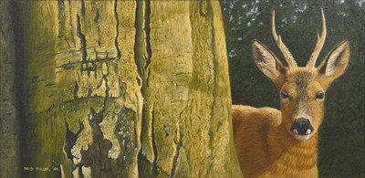 Lot 1061 - David Miller (Contemporary) Roebuck emerging...