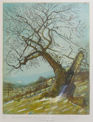 Lot 1230 - Piers Browne (1949-2024) "Ancient Hawthorn...