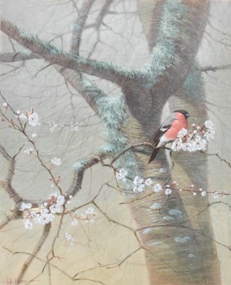 Lot 1237 - Peter Munro (b.1954) Bullfinch and blossom...