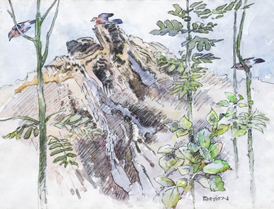 Lot 515 - Eric Ennion (1900-1981) Jays on a rocky...