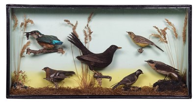 Lot 1179 - Taxidermy: A Cased Display of British Garden...