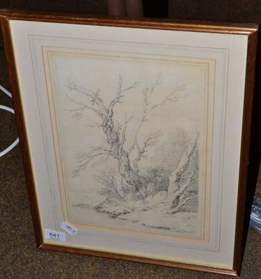 Lot 641 - Joseph Farrington - study of trees, drawing