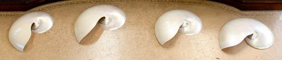 Lot 1181 - Natural History: Four Chambered Nautilus Half...